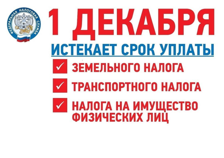 Укажите подпись к картинке. Укажите подпись к картинке.